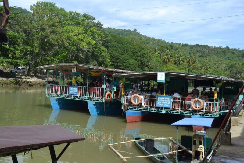 Bohol: Loboc River Buffet-Lunch Cruise With Private Transfer - Accessibility and Packing