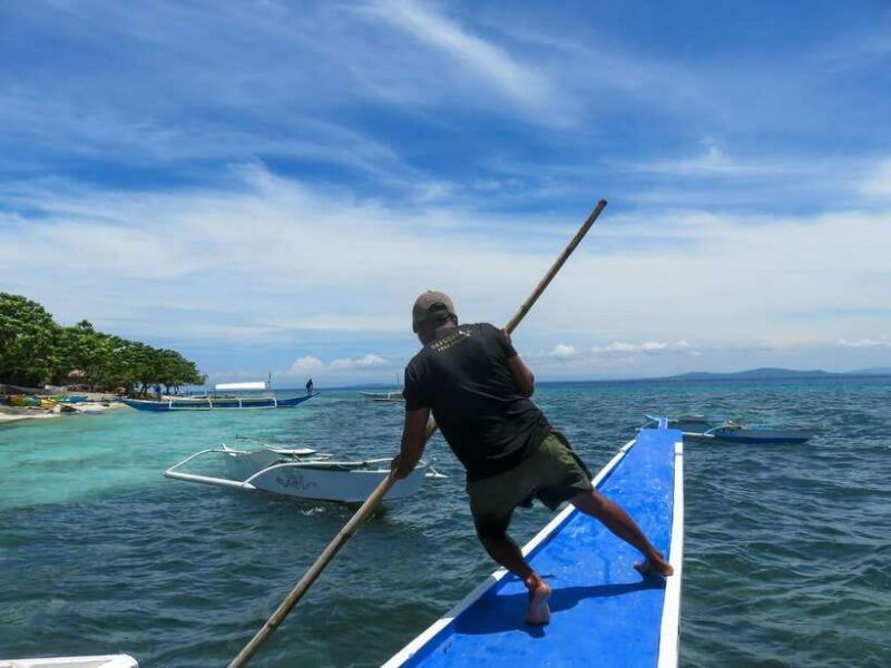 Bohol: Pamilacan Island Dolphin/Turtle Watching Tour & Lunch - The Sum Up