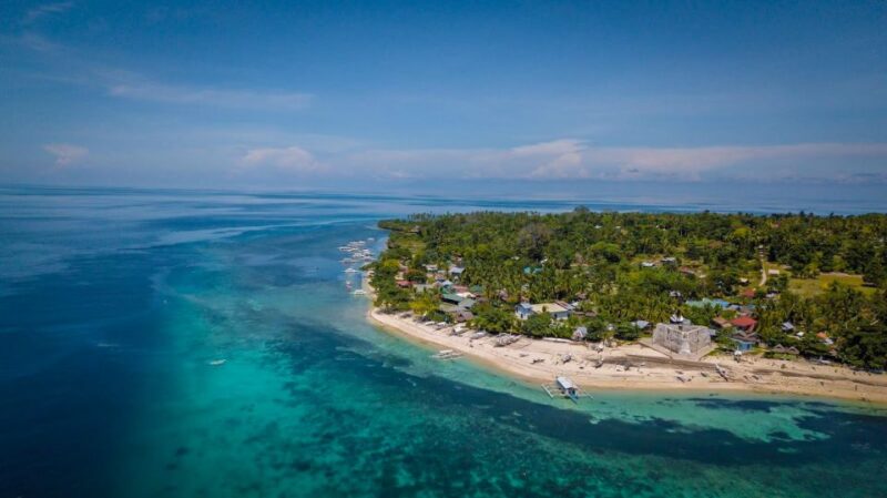 Bohol: Pamilacan Island Dolphin/Turtle Watching Tour & Lunch - Authentic Boholano Lunch Experience