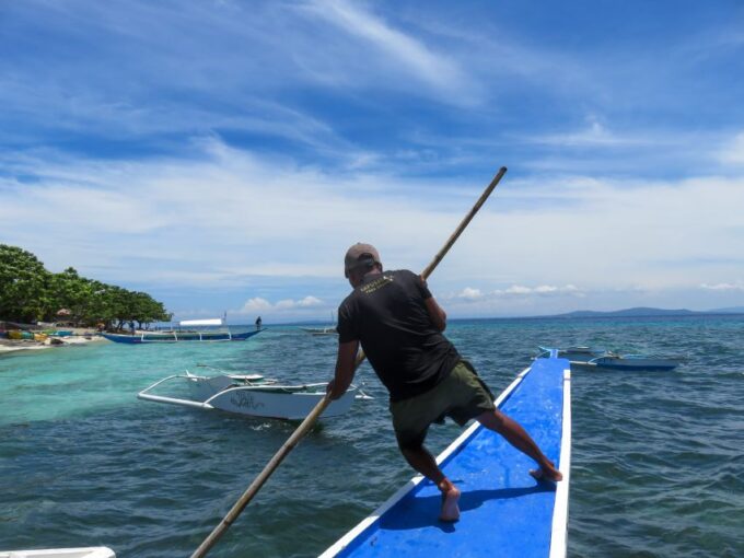Bohol: Pamilacan Island Dolphin/Turtle Watching Tour & Lunch - Frequently Asked Questions