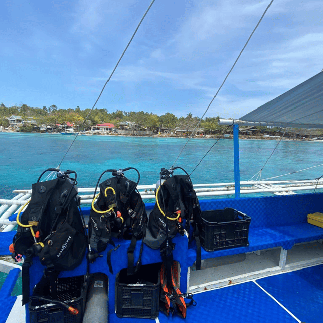 Bohol: Pamilacan Island Fun Dive Experience! - Pricing and Group Size