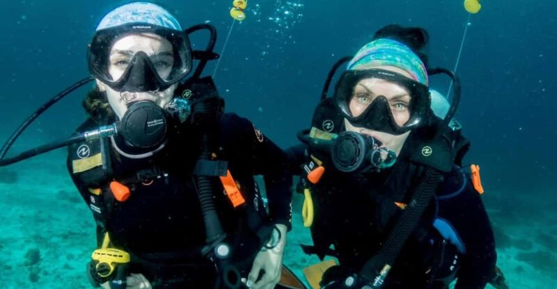 Bohol: Pamilacan Island Fun Dive Experience! - Instructor and Cancellation Policy