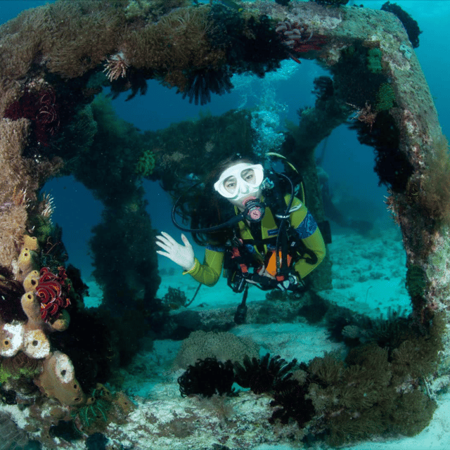 Bohol: Pamilacan Island Fun Dive Experience! - Dive Sites and Highlights