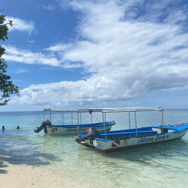 Bohol: Pamilacan Island Fun Dive Experience! - Frequently Asked Questions