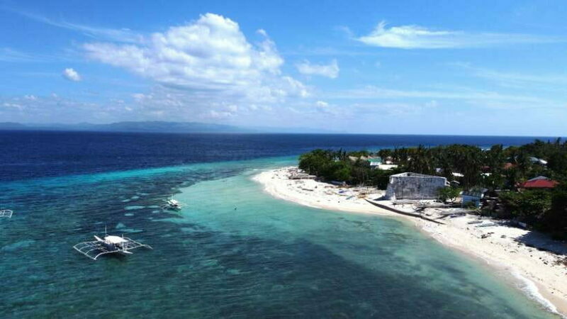 Bohol PAMILACAN Island Turtle & Dolphin Watching - Introduction: An Authentic Day on Pamilacan Island