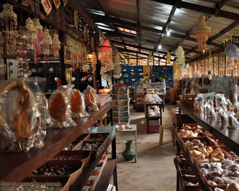 Bohol: Panglao Land Tour - Itinerary Highlights