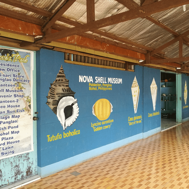 Bohol: Panglao Tour With Bohol Bee Farm and South Farms - Optional Stops