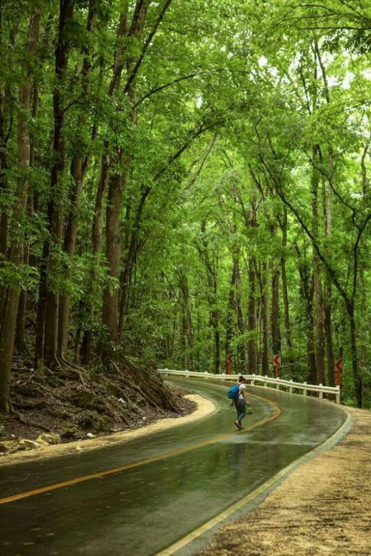 Bohol: Premium Chocolate Hills, Tarsiers & River Experience - Key Points