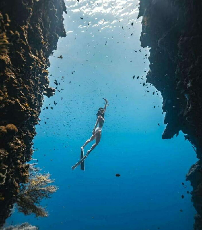 Bohol: Private Sardine Snorkel & Tropical Fish Tour - Key Points