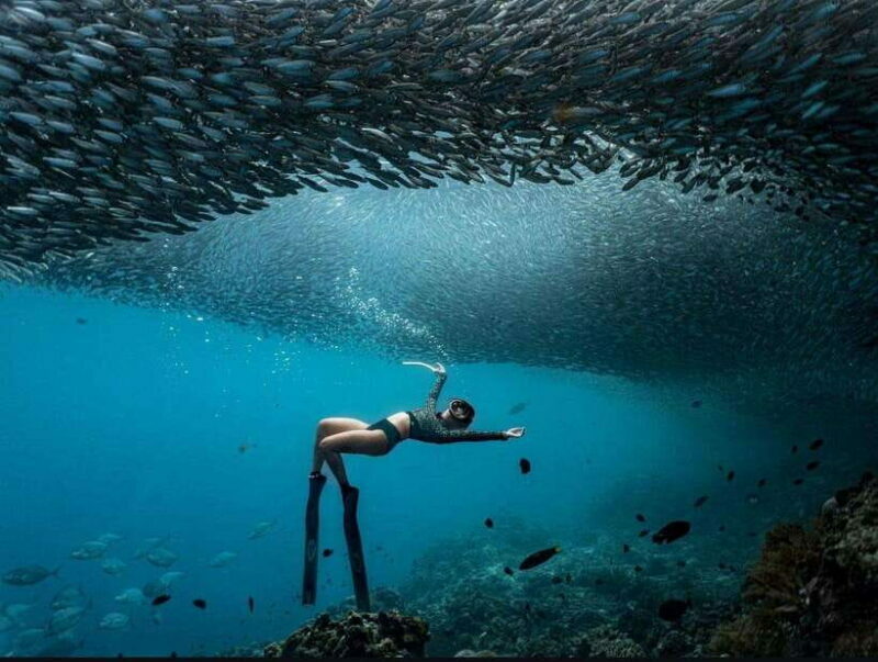 Bohol: Private Sardine Snorkel & Tropical Fish Tour - Authenticity and Comfort: What Travelers Love