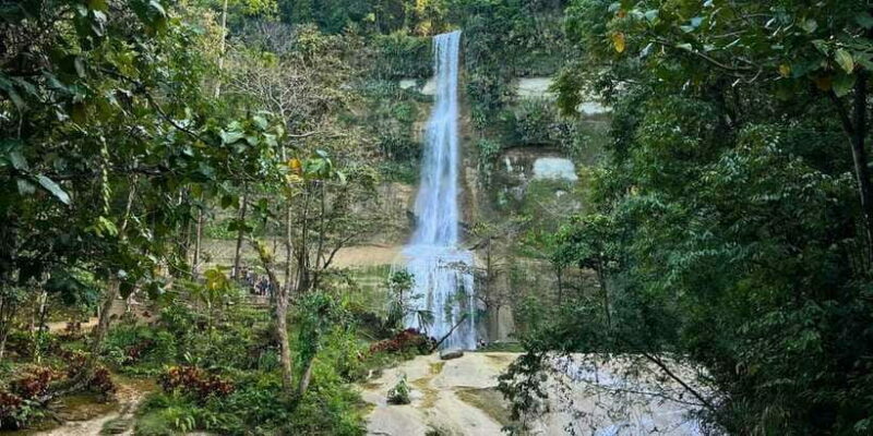 Bohol Private Tour Anda, Candijay & Alicia Panoramic Park - Price and Value