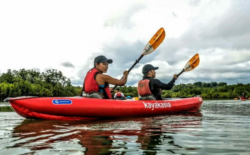 Bohol: SUSTAINABLE Mangrove Tunnels & Firefly Kayaking trail - An Authentic Look at Bohol’s Eco-Adventure