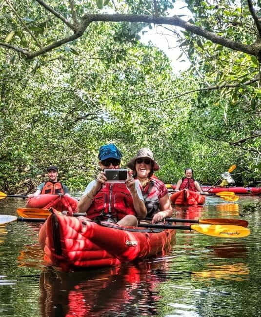 Bohol: SUSTAINABLE Mangrove Tunnels & Firefly Kayaking trail - What’s Included and What to Expect