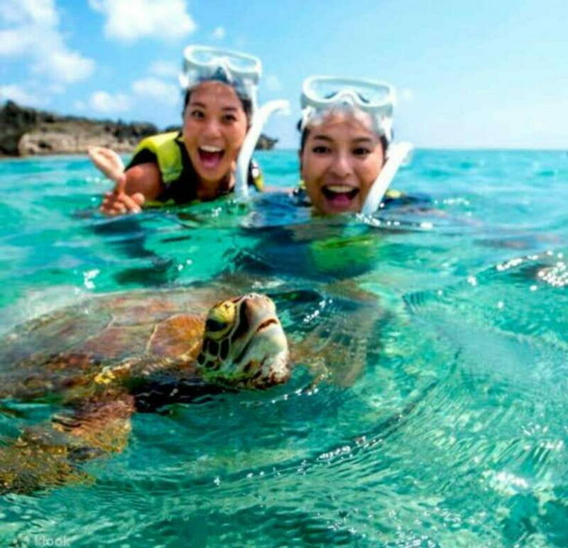 Bohol: Swim with Sea Turtles & Dolphins Island Hopping Tour - Practical Details: Transport, Duration, and Value