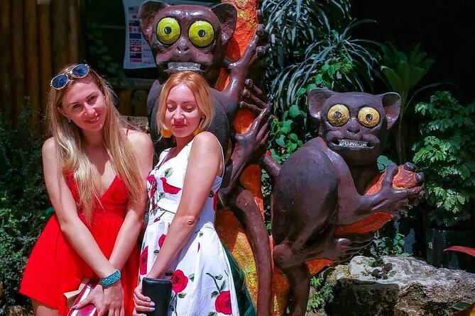 BOHOL Tour  - Chocolate Hills, Tarsier and River Cruise Lunch - Tarsier Viewing
