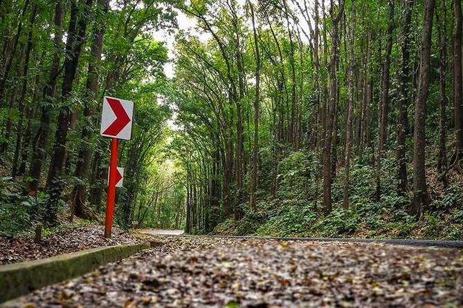 BOHOL Tour  - Chocolate Hills, Tarsier and River Cruise Lunch - Tour Experience