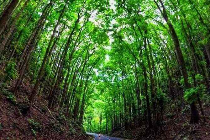 Bohol Tour With Bike Zip Adventure - Tour Inclusions and Participation Details