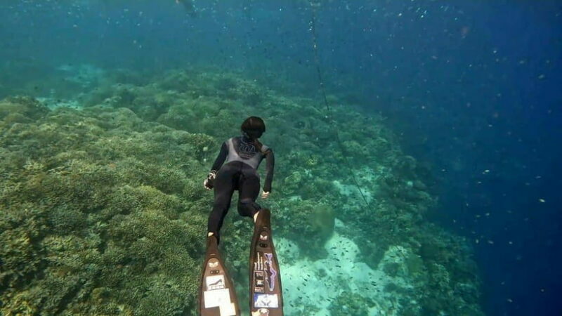 Bohol: Turtle Sanctuary Snorkeling Boat Tour with Lunch - What Makes This Tour Worth It?