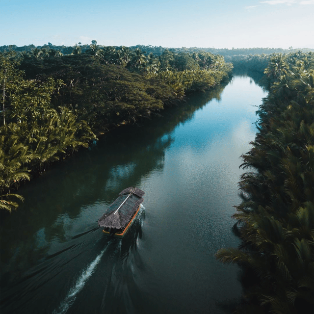 Bohol: Whaleshark + Choco Tour + Rio Verde Lunch Buffet - Inclusions and Exclusions