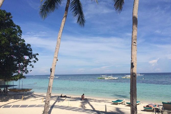 Bohols Panglao Island Half Day Land & Half Day Island Hopping (Cebu or Bohol) - Pickup Information