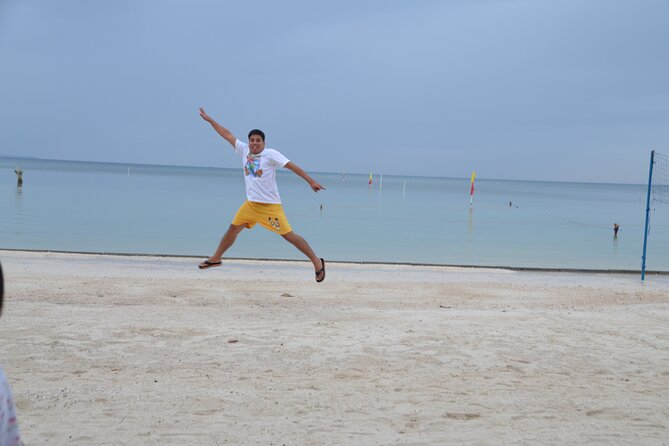 Bohols Panglao Island Half Day Land & Half Day Island Hopping (Cebu or Bohol) - Accessibility and Recommendations