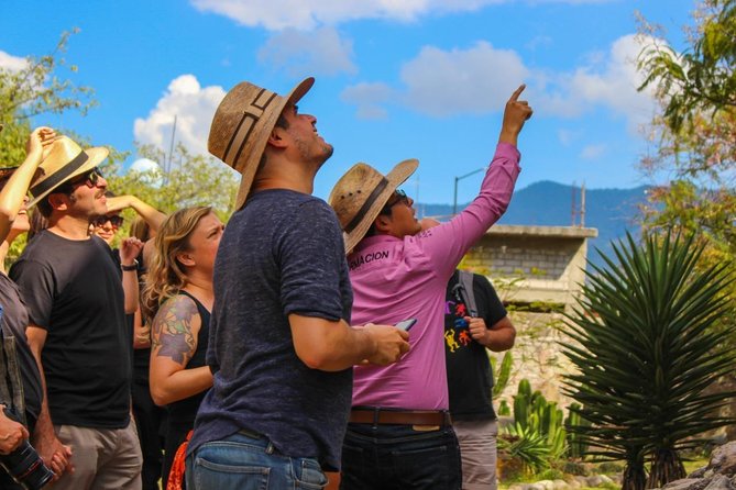 Boil the Water, Mitla, Tule, Mezcal and More - Maximum of 20 Travelers