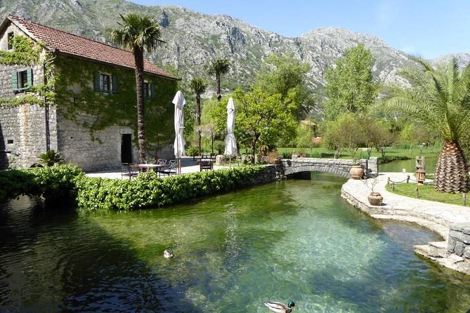 Boka Bay Tour by Car or Speedboat (Private Tour) - Cancellation Policy