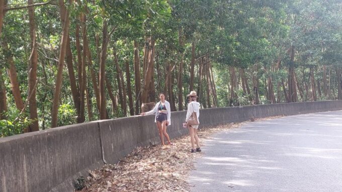 Bokor Mountain Tour by an Experienced Guide - Guided Tour Details