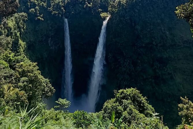 Bolaven Plateau Waterfall Trek in Pakse - What to Expect on the Trek
