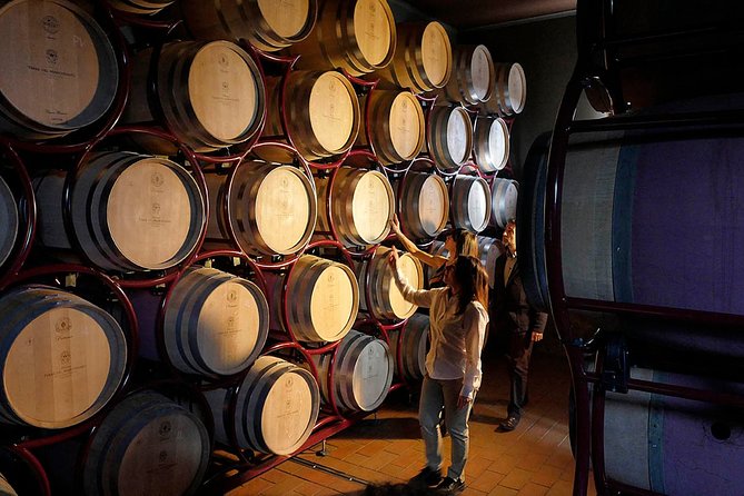 Bolgheri: Classic Wine Tasting With Winery Tour - Pairing With Local Delights