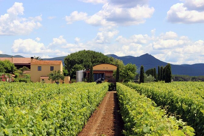 Bolgheri: Premium Wine Tasting With Winery Tour - Sampling Monovarietal Wines