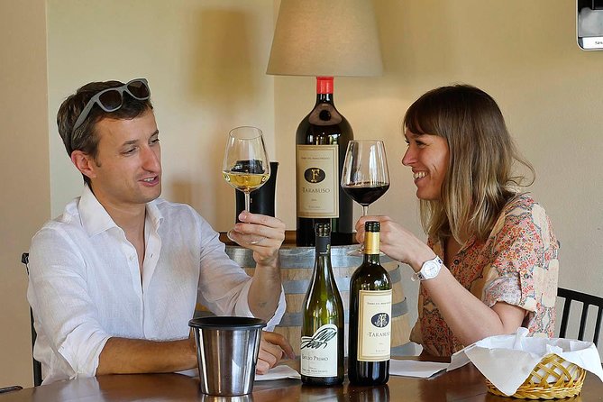 Bolgheri: Sensorial Wine Tasting With Winery Tour - Logistics and Accessibility