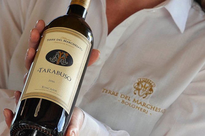 Bolgheri: Sensorial Wine Tasting With Winery Tour - Sensorial Wine Tasting
