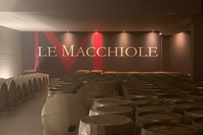 Bolgheri Wine Tour From Lucca - About Your Stay