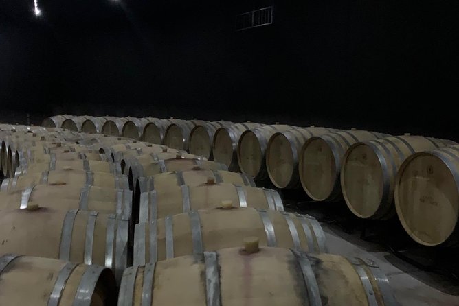 Bolgheri Wineries and Tuscany Tour - Reviews and Ratings