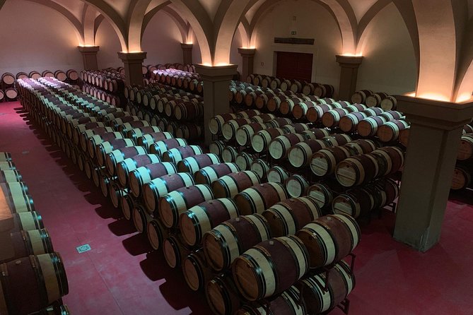 Bolgheri Wineries and Tuscany Tour - Included Features