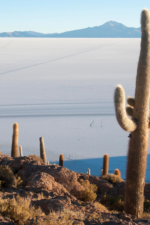 BOLIVIA: CLASSIC UYUNI SALT FLAT - Itinerary Highlights