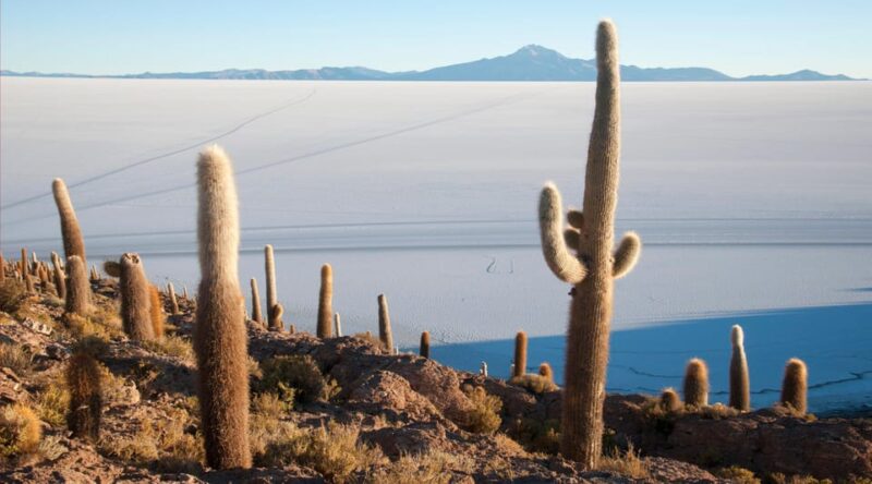BOLIVIA: CLASSIC UYUNI SALT FLAT - Cancellation and Payment Policy