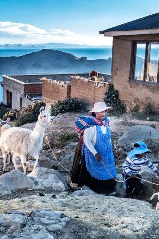 Bolivia: Full Day to Copacabana & Island of the Sun - Itinerary Highlights