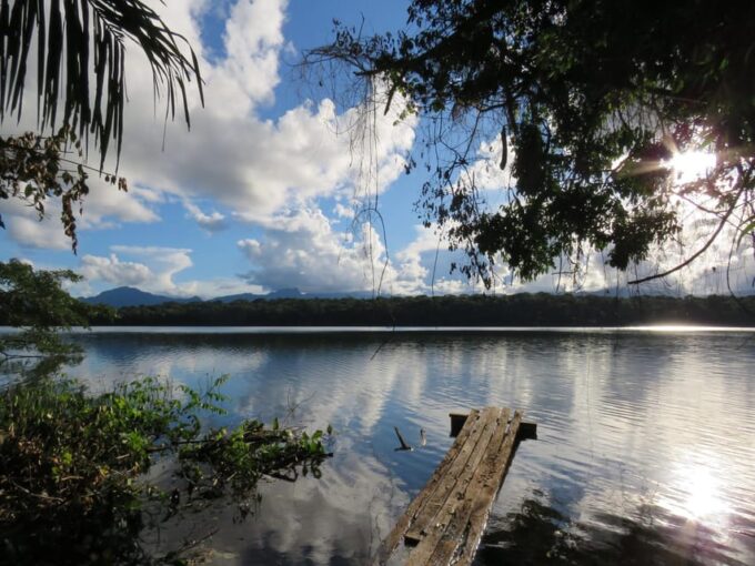 Bolivian Amazon: 3 Days, Madidi Nat. Park With Treetents - Activities: Trekking and Canoeing