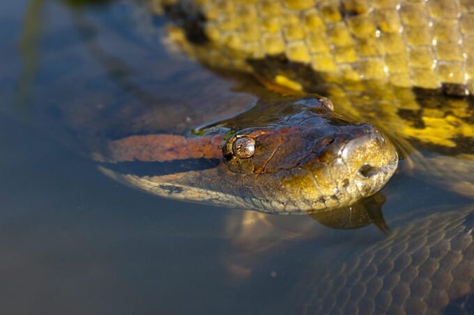 Bolivian Amazon: 3 Days, Pampas & Awaisal Community - Frequently Asked Questions