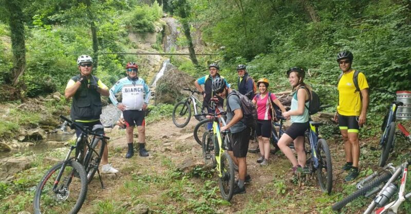 Bologna: E-Bike Guided Tour With Brunch or Aperitivo - Experience Highlights