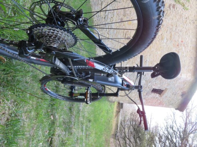 Bologna: E-Bike Guided Tour With Brunch or Aperitivo - Taste Local Cheeses and Wines