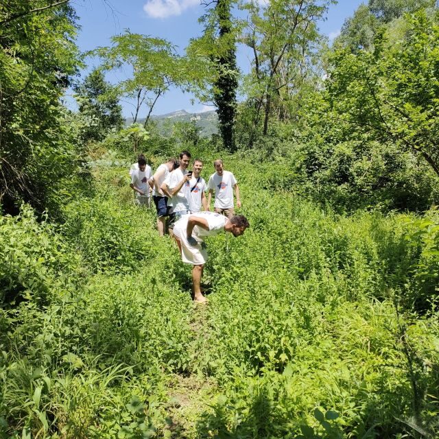 Bologna Forlì: Foraging, Looking for Wild Edible Herbs - Herbal Tea Preparation