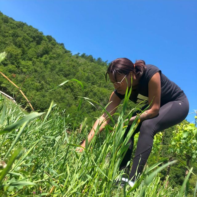 Bologna Forlì: Foraging, Looking for Wild Edible Herbs - Additional Tasting Opportunities
