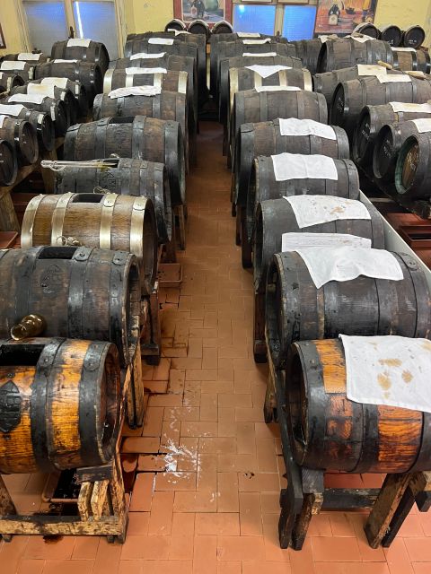 Bologna/Modena: Parmigiano, Ferrari, & Wine Tour With Lunch - Frequently Asked Questions