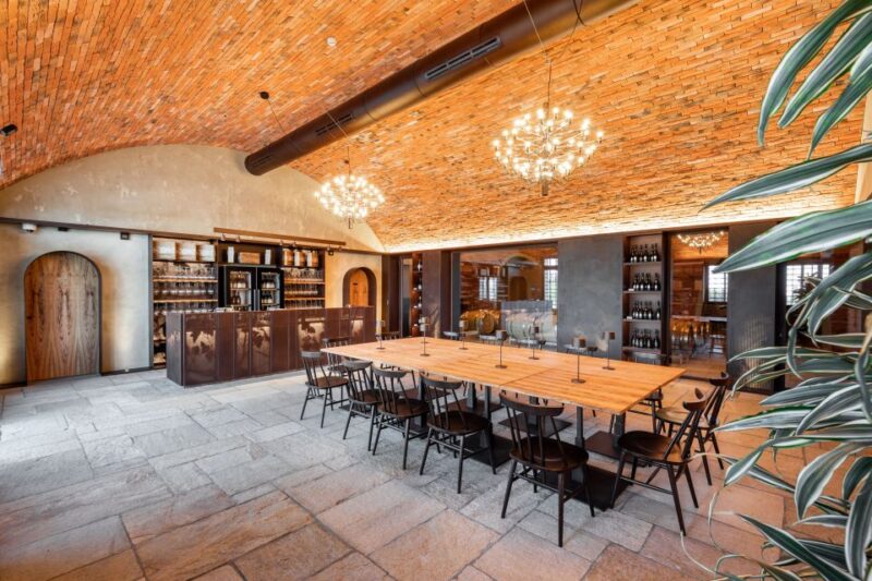 Bologna: Olive Grove and Vineyard Tour With Product Tastings - Key Points
