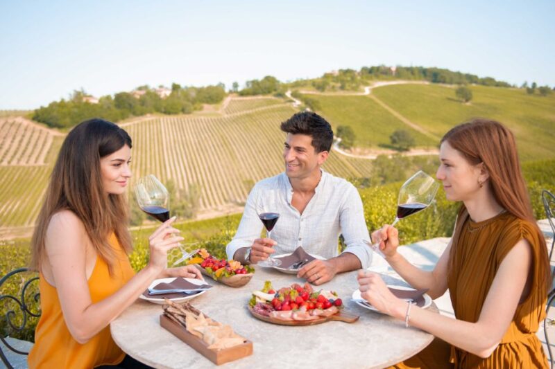 Bologna: Olive Grove and Vineyard Tour With Product Tastings - Itinerary Details