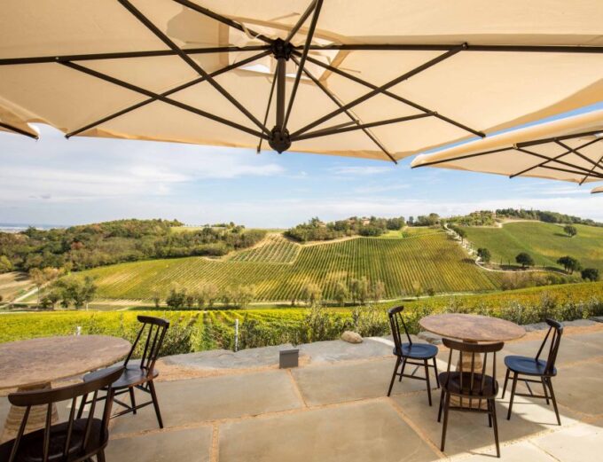 Bologna: Olive Grove and Vineyard Tour With Product Tastings - Frequently Asked Questions