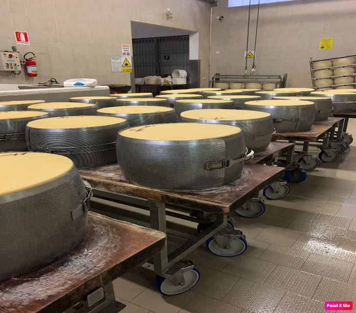 Bologna: Parmesan, Vinegar, Lambrusco, Lunch +Transfer - Pickup and Transportation